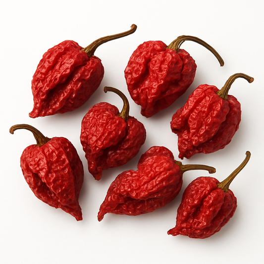 Getrocknete ganze Habanero Chilis