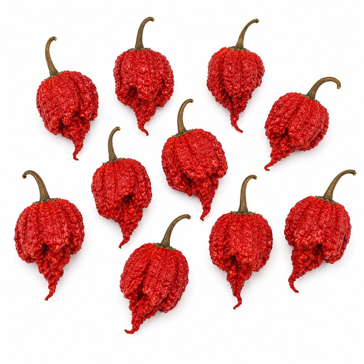 Dry Reaper - Getrocknete Carolina Reaper Chili im Aromaschutzbeutel