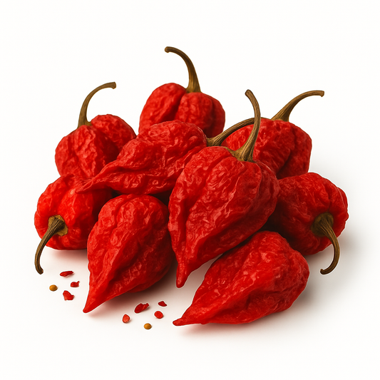 Carolina Reaper Chili getrocknet