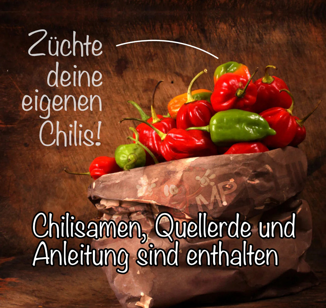 Chili Samen Set
