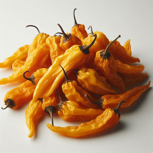 Getrocknete Madame Jeanette Chilis