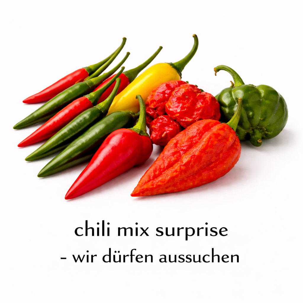 Frische Chilis kaufen