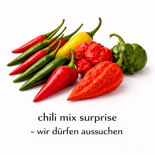 Frische Chilis kaufen