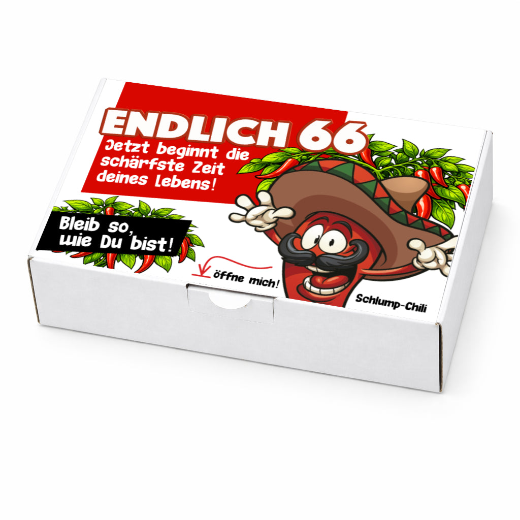 Lustiges Geschenk zum 66. Geburtstag