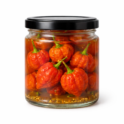 Der Skorpion - Trinidad Moruga Scorpion Chils eingelegt