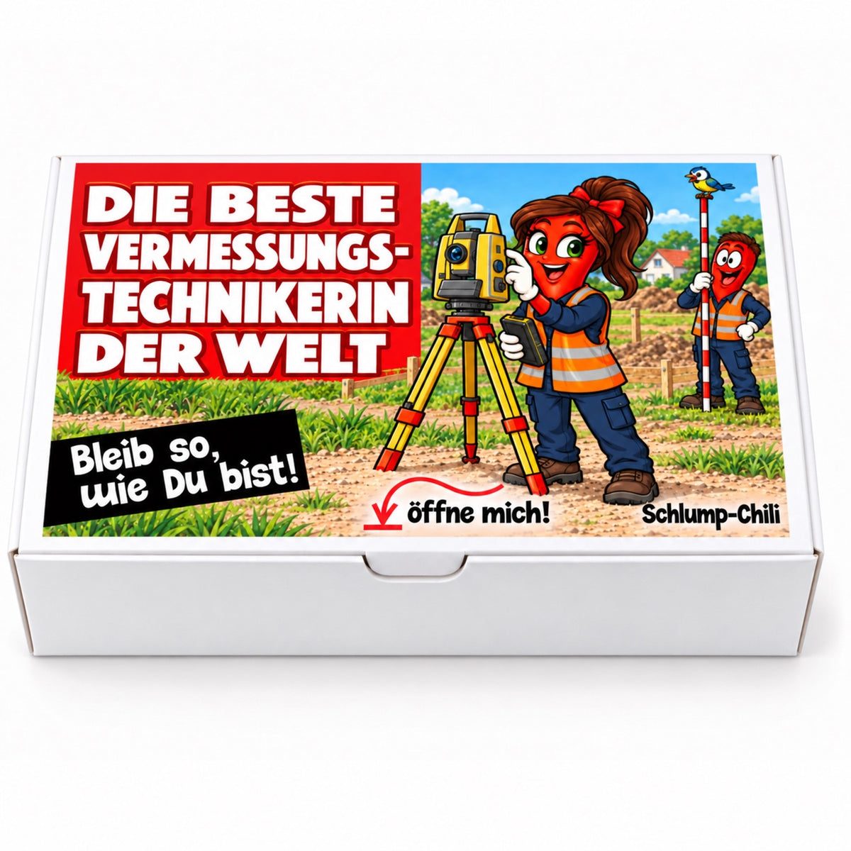 Die beste Vermessungstechnikerin der Welt – Schachtel frontal