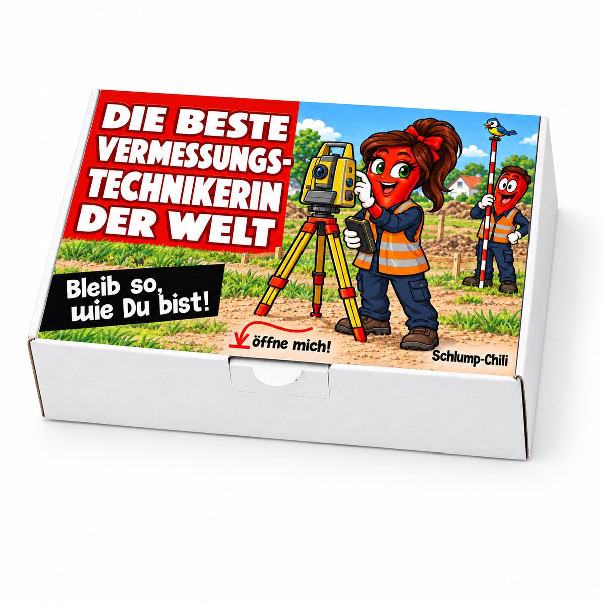 Die beste Vermessungstechnikerin der Welt – Schachtel schräg