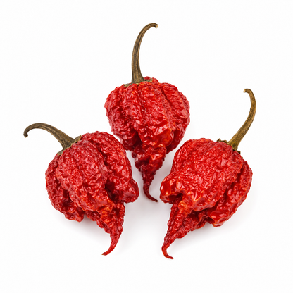 Dry Reaper - Getrocknete Carolina Reaper Chili im Aromaschutzbeutel
