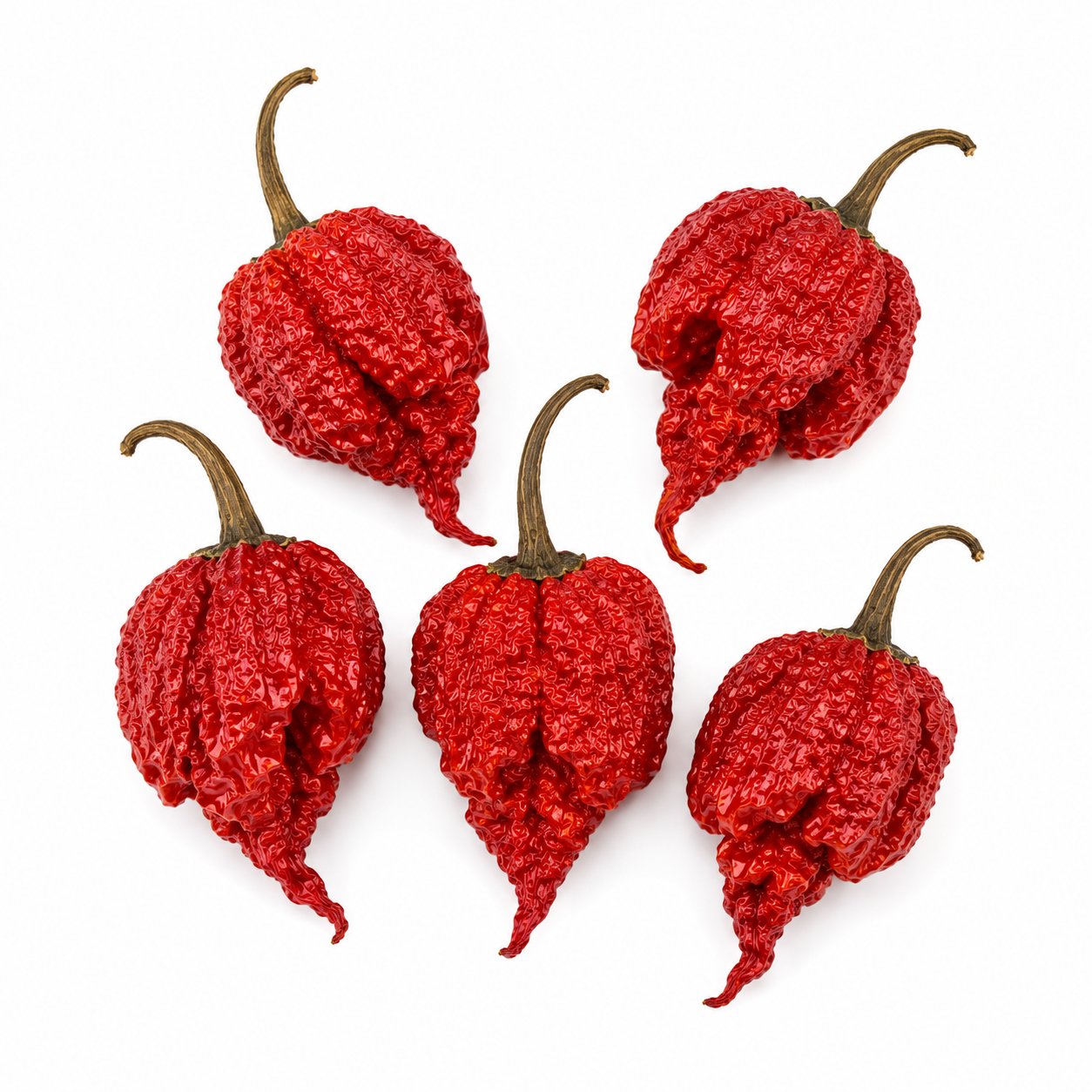 Dry Reaper - Getrocknete Carolina Reaper Chili im Aromaschutzbeutel