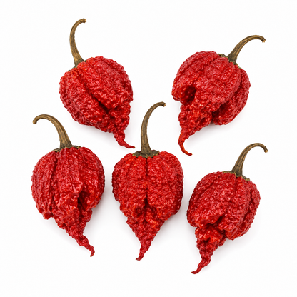 Dry Reaper - Getrocknete Carolina Reaper Chili im Aromaschutzbeutel