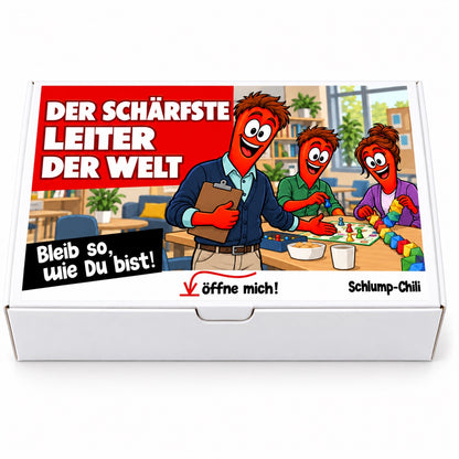 Der schärfste Leiter der Welt – Einrichtungsleiter – Frontansicht
