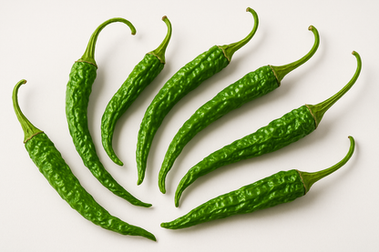grüne ganze lange getrocknete Cayenne Chili