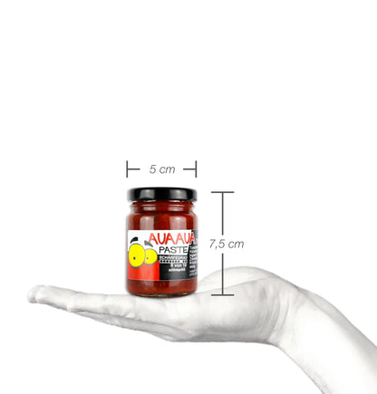 Bild-AUAXL-2