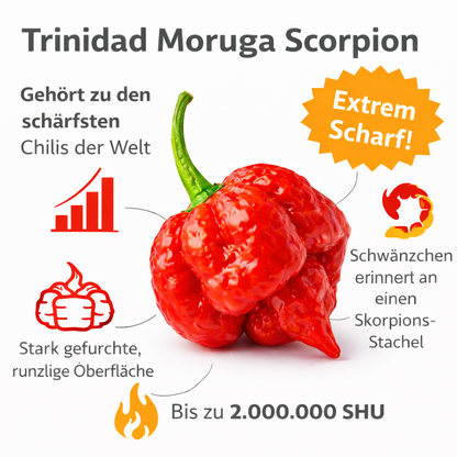 Frische Trinidad Moruga Scorpion Chilis (extrem scharf)