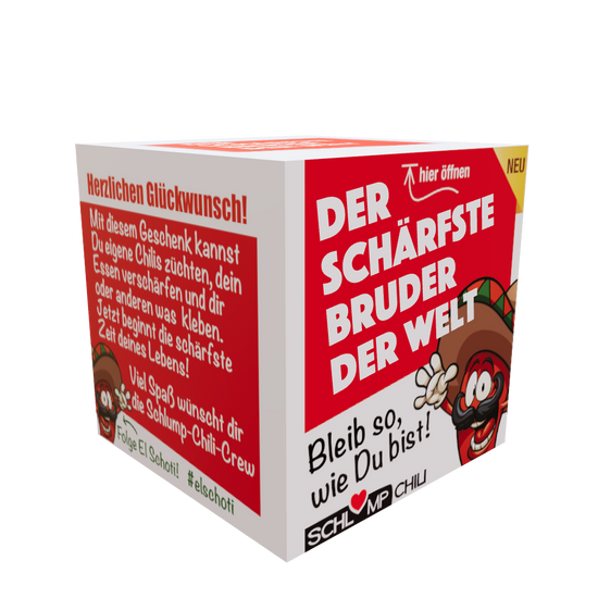 Geschenk für Bruder 3D Ansicht