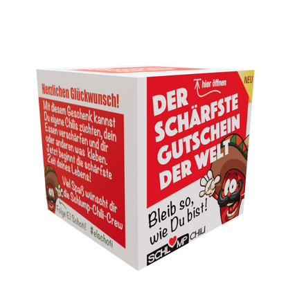Gutschein Geschenk 3D Ansicht