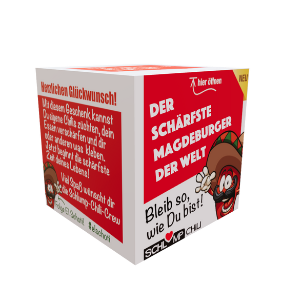 lustiges Geschenk für Magdeburger 3D Ansicht