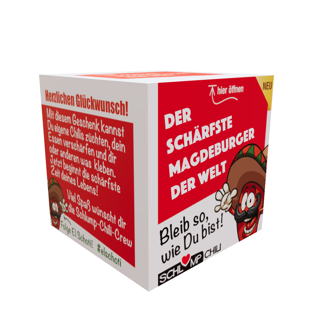lustiges Geschenk für Magdeburger 3D Ansicht