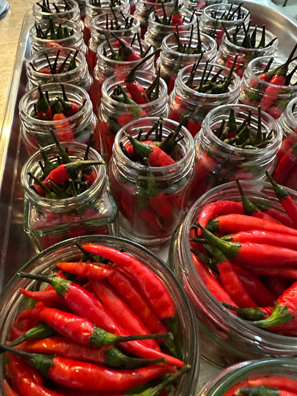 I LIKE TO RAWIT RAWIT - eingelegte Thai Chilis (100ml)