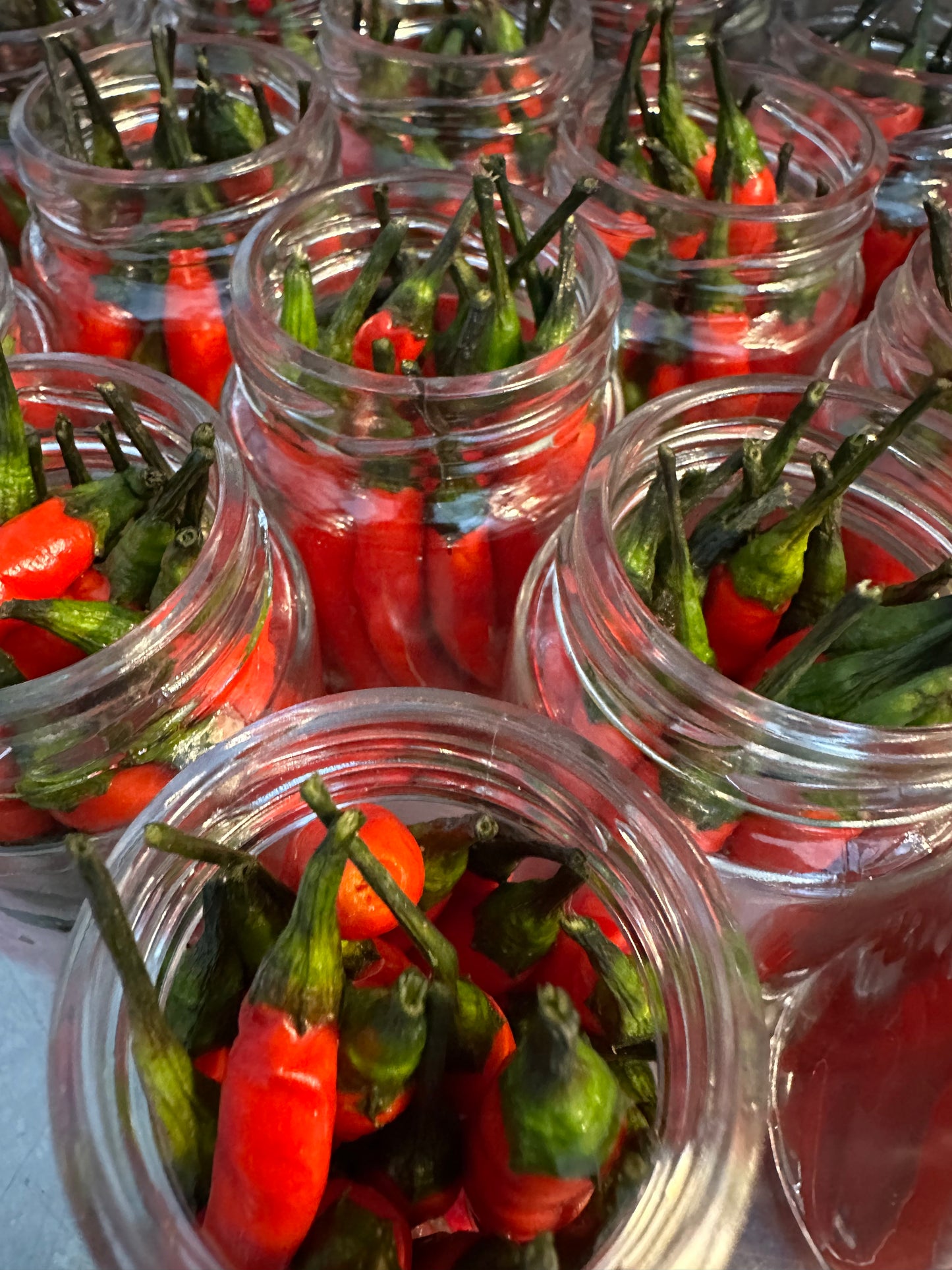 I LIKE TO RAWIT RAWIT - eingelegte Thai Chilis (100ml)