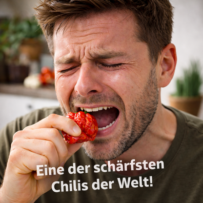 Frische Trinidad Moruga Scorpion Chilis (extrem scharf)