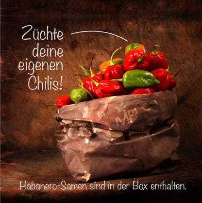 Bild-HANNOVERANERIN-3