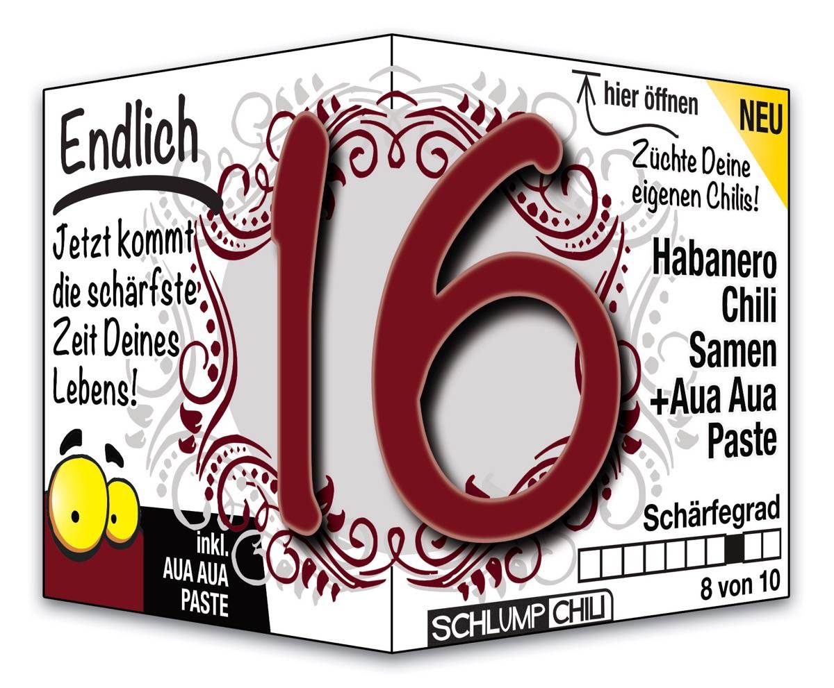 witziges Präsent zum 16. Geburtstag