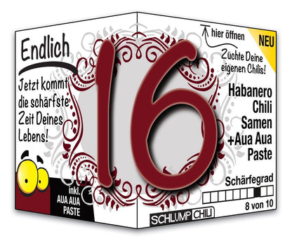 witziges Präsent zum 16. Geburtstag