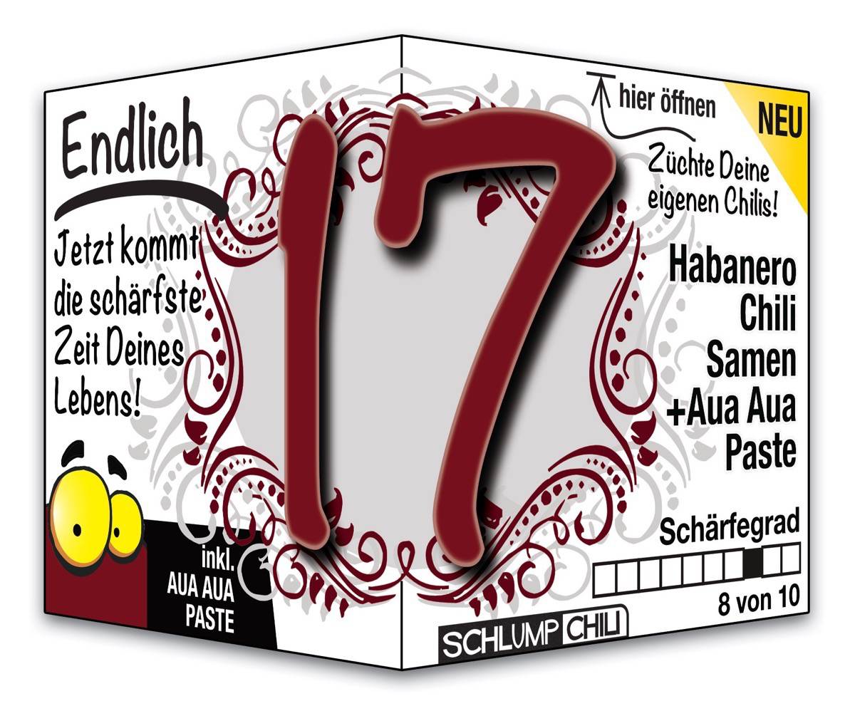 Witziges Präsent zum 17. Geburtstag